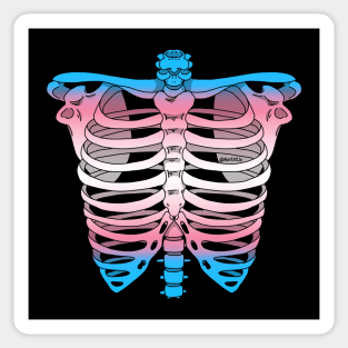 Trans Ribcage Sticker